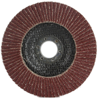 Lamelový kotúč na brúsenie kovov 125 mm – zrnitosť P36 – MAR-POL M07970