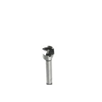 Súprava Forstnerových (sukovníkových) vrtákov do dreva 15 ks (10–50 mm) – MAR-POL M22564