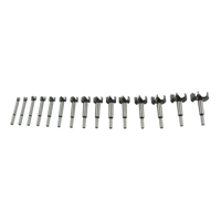Súprava Forstnerových (sukovníkových) vrtákov do dreva 15 ks (10–50 mm) – MAR-POL M22564